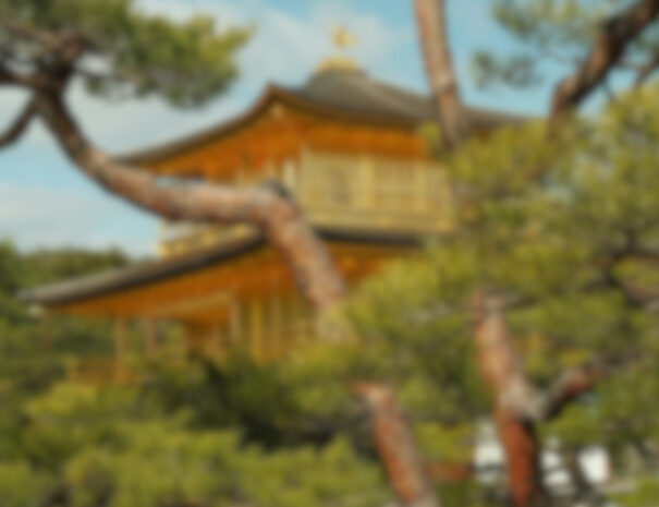 2056c539-7d3b-4962-afa0-861977b17275
